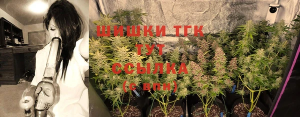 шишки Наволоки