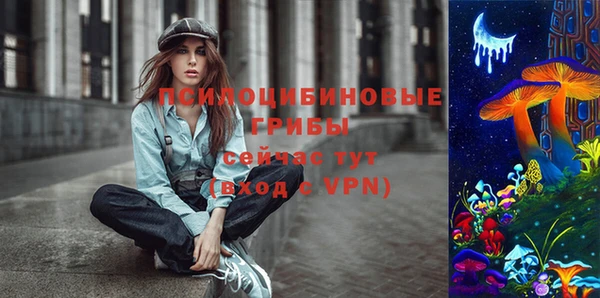 шишки Наволоки